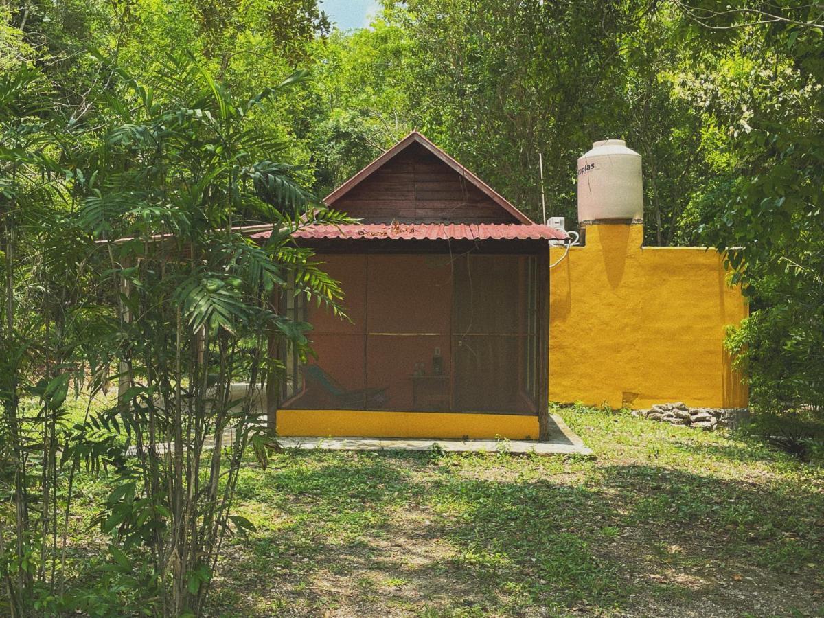 Ecohabitat Bed & Breakfast Xpujil Bagian luar foto