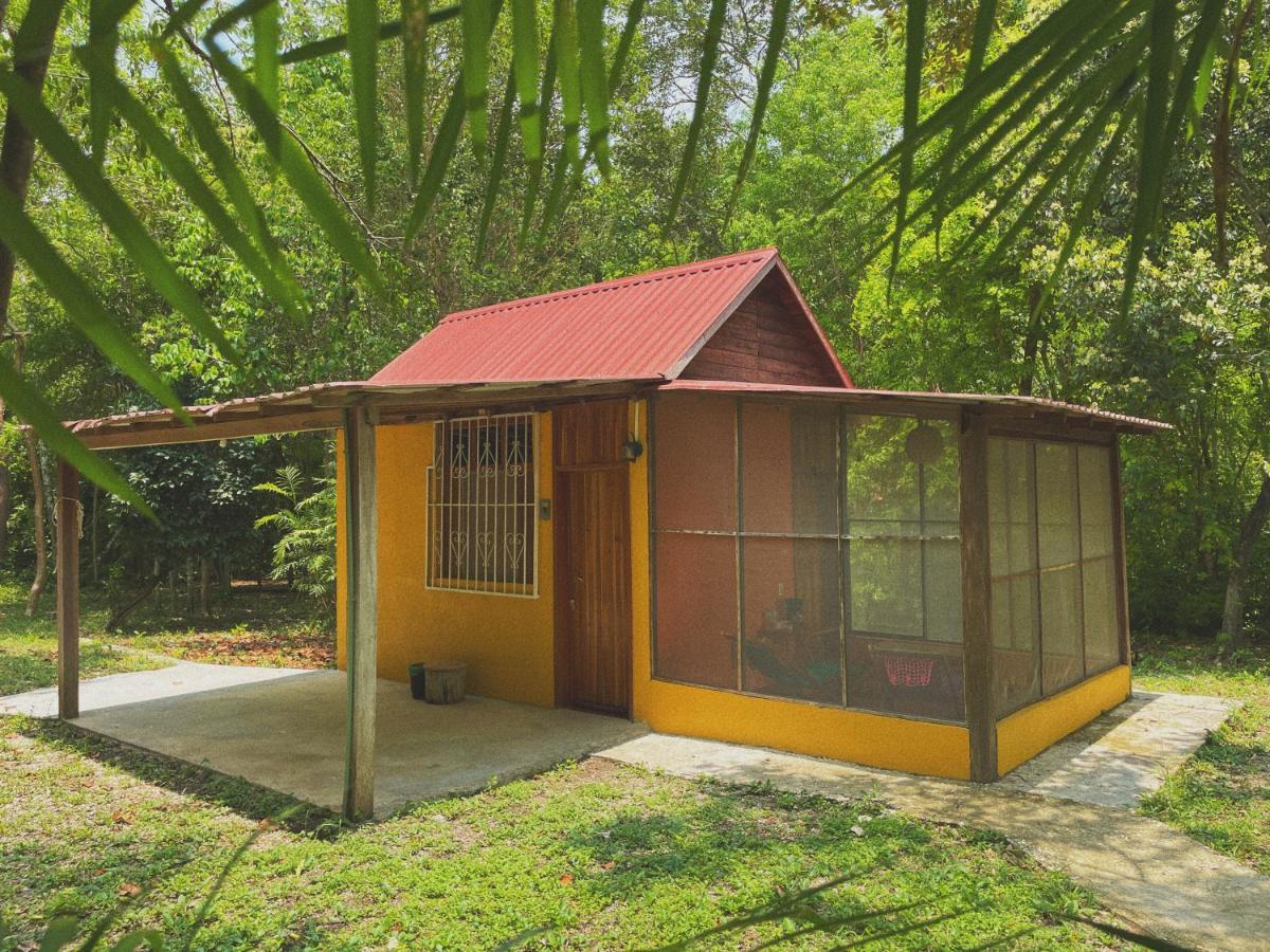 Ecohabitat Bed & Breakfast Xpujil Bagian luar foto
