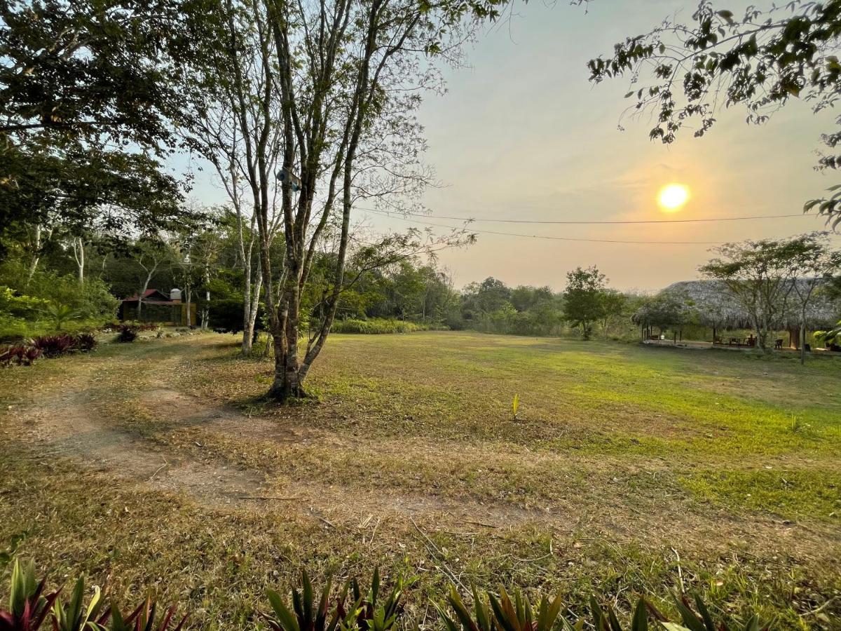 Ecohabitat Bed & Breakfast Xpujil Bagian luar foto
