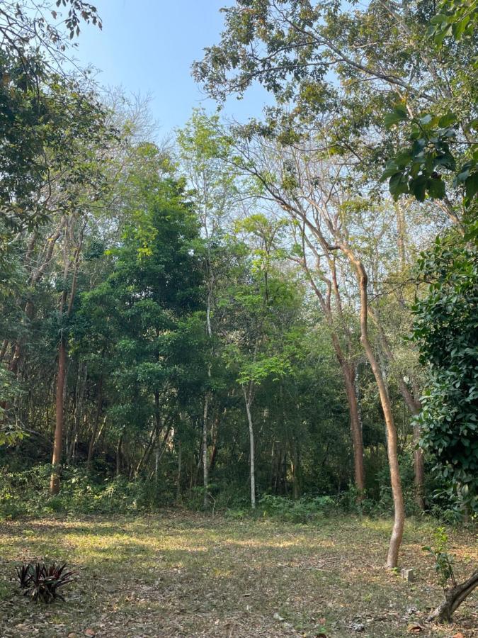 Ecohabitat Bed & Breakfast Xpujil Bagian luar foto
