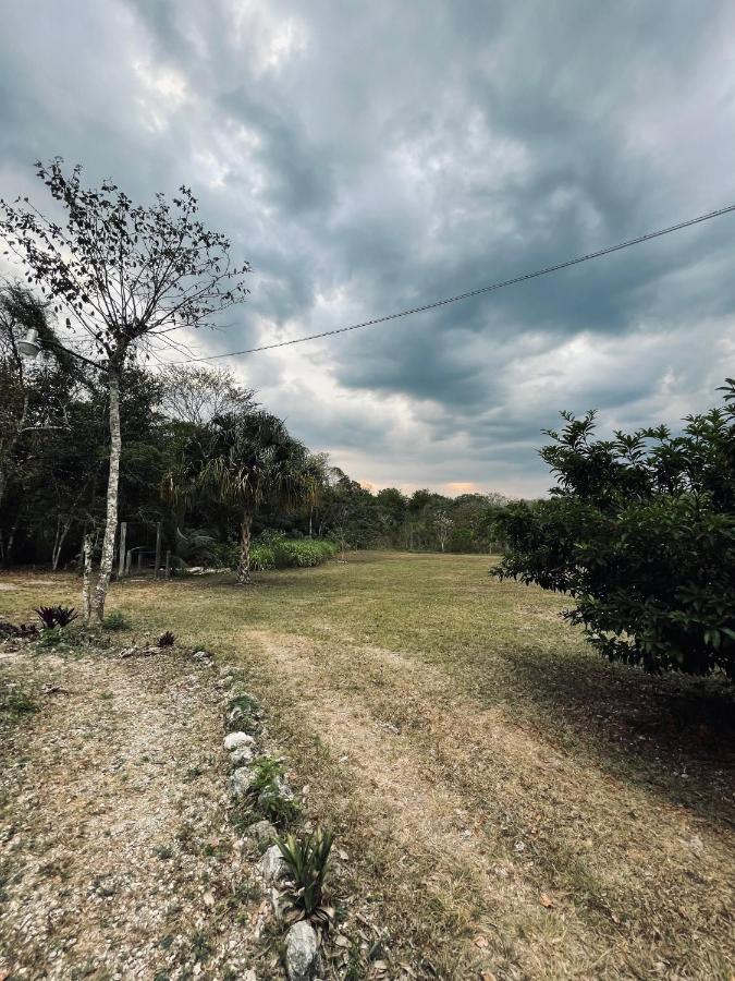 Ecohabitat Bed & Breakfast Xpujil Bagian luar foto
