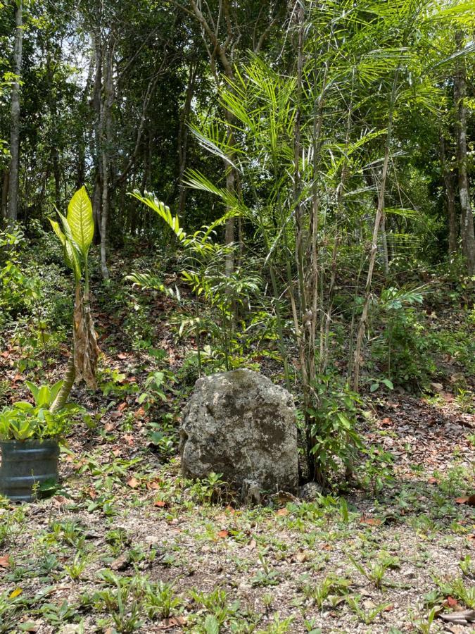 Ecohabitat Bed & Breakfast Xpujil Bagian luar foto