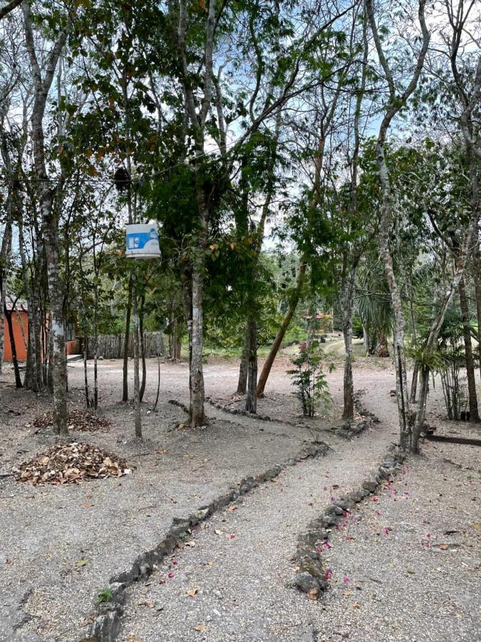 Ecohabitat Bed & Breakfast Xpujil Bagian luar foto