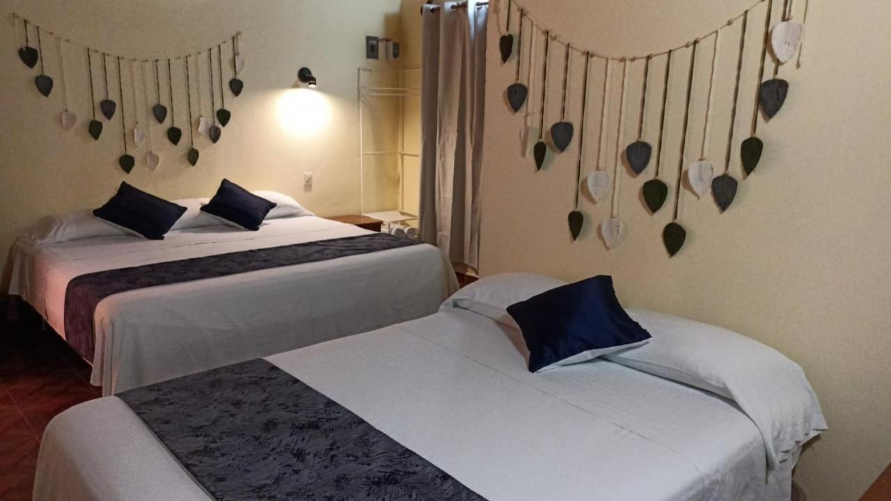 Ecohabitat Bed & Breakfast Xpujil Bagian luar foto